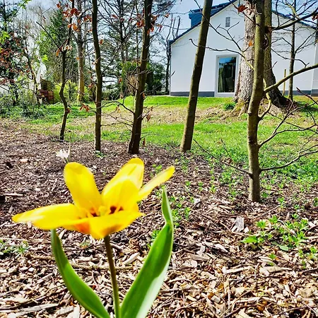 Freiraum Σπίτι διακοπών *