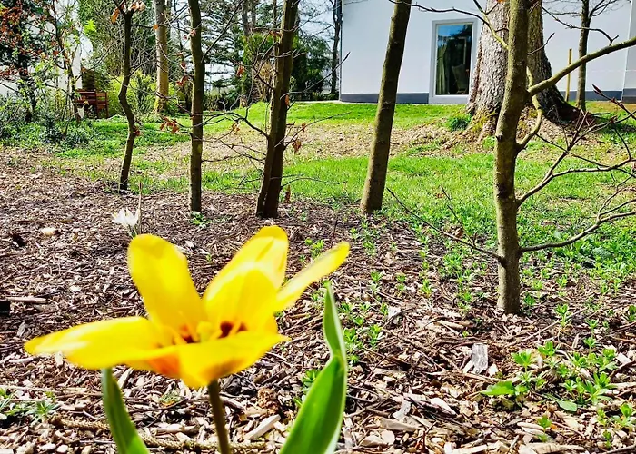 Freiraum 度假居 *